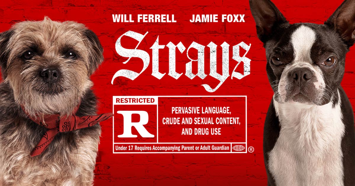 Watch Strays (2023) Streaming Online Peacock