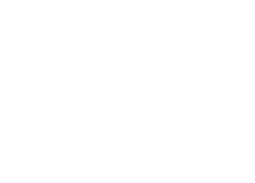 British Knights Logo 